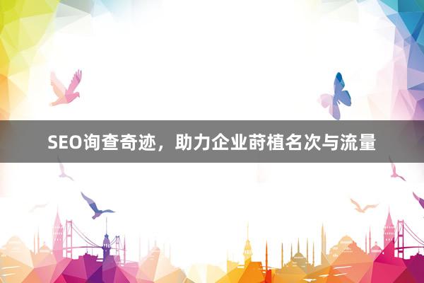 SEO询查奇迹，助力企业莳植名次与流量